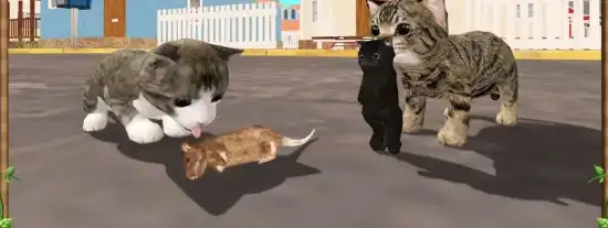 🐾 Cat Sim Online Play with Cats SellUnitySourceCode source code