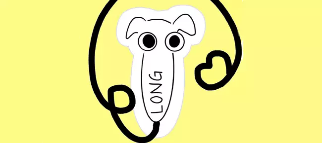 🐶 Long Punch Nose Dog SellUnitySourceCode source code