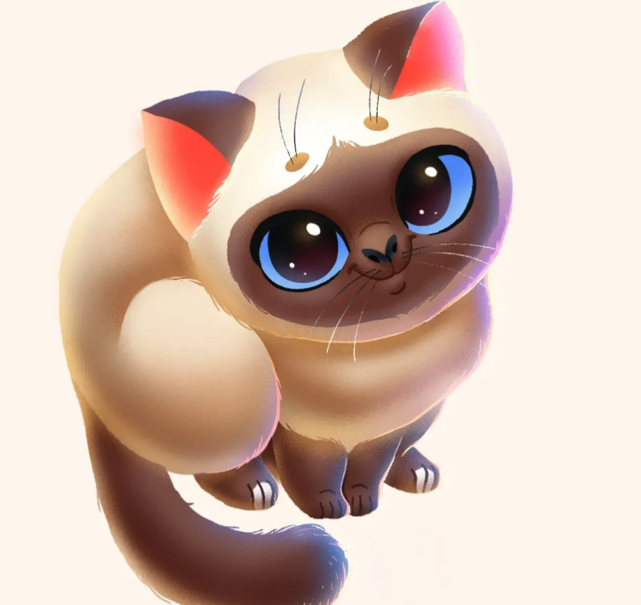 Meow Stretchy