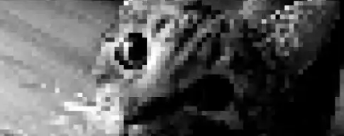 Pixel Coloring – Color By Numbers SellUnitySourceCode source code