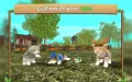 🐾 Cat Sim Online Play with Cats SellUnitySourceCode screenshot 4