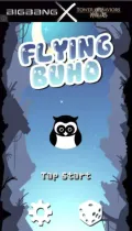 Fiesta Buho screenshot 6