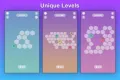 Hexa Path Fill - Unity Project screenshot 3