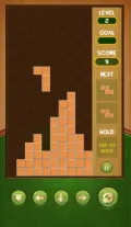 Tetris Puzzle screenshot 4