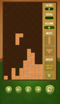 Tetris Puzzle screenshot 5