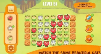 Connect Two Cats Classic source code