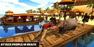 New Angry Hippo Attack Simulator – Wild Animal City Rampage – SellUnitySourceCode.com source code