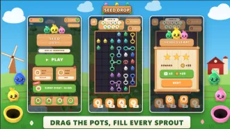 Seed Drop | Unity CompletePuzzle Game Template source code