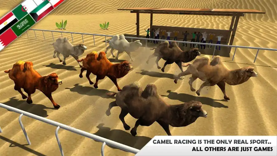 Wild Camel Racing Simulator SellUnitySourceCode source code