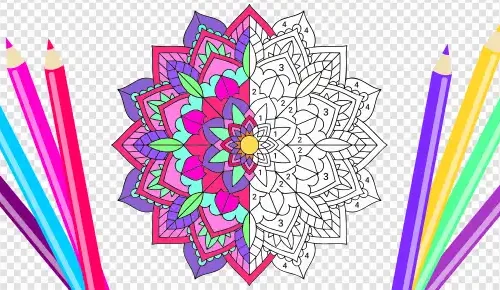 Picture Coloring – Color By Numbers SellUnitySourceCode