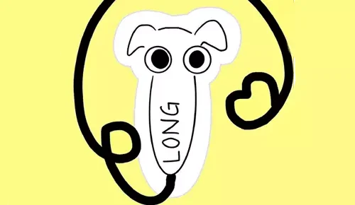 🐶 Long Punch Nose Dog SellUnitySourceCode