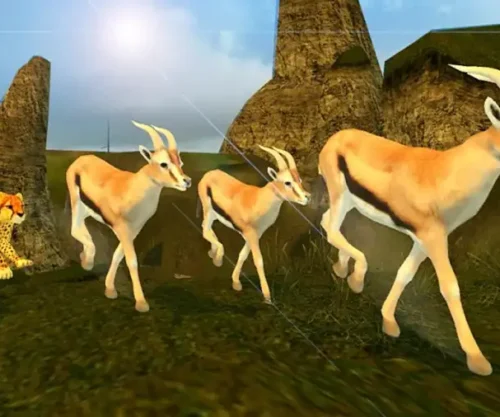 Sniper Shooter Animal Hunter 3d SellUnitySourceCode