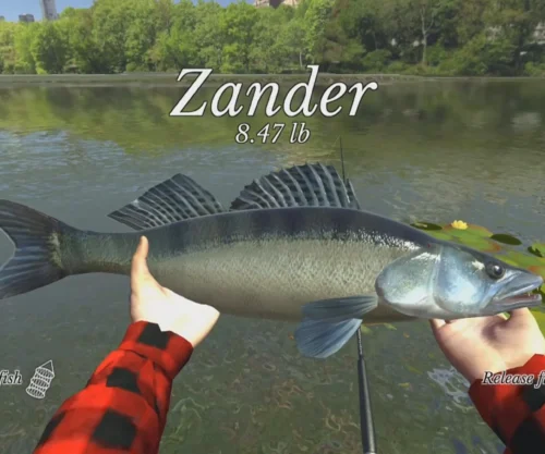 Ultimate Fishing Simulator SellUnitySourceCode